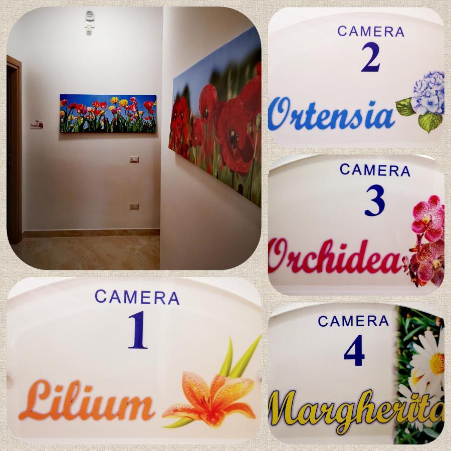 Fiori E Colori Hotel Mazara del Vallo Buitenkant foto
